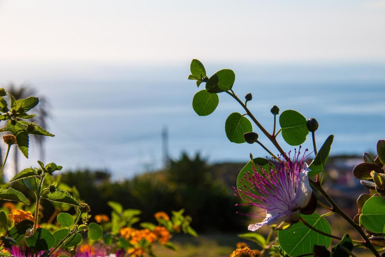 Agriturismo Al Cappero Malfa  Eksteriør billede