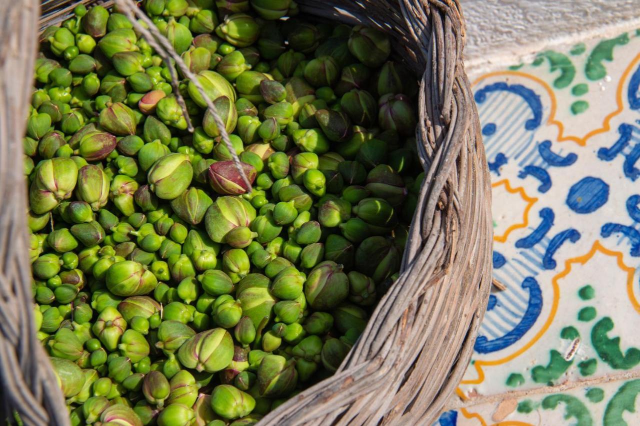 Agriturismo Al Cappero Malfa  Eksteriør billede